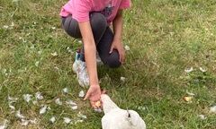 Ein Mädchen füttert ein Huhn aus der Hand