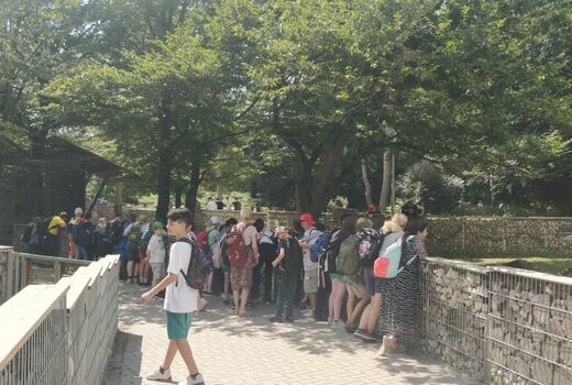 Viele Menschen stehen links an einem Tiergehege und schauen hinein.